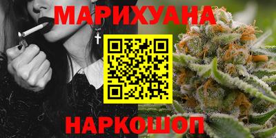 МДПВ Камышлов