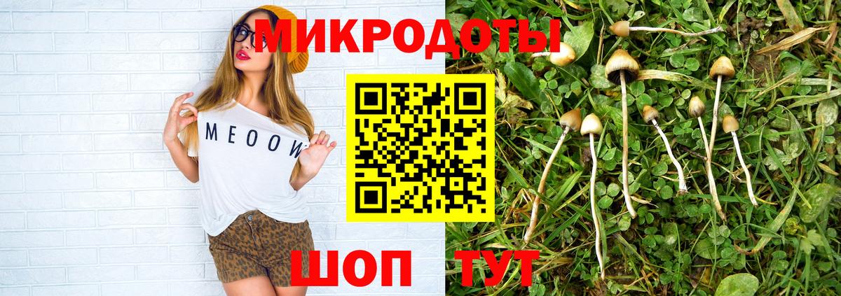 Галлюциногенные грибы Psilocybe Южно-Сахалинск