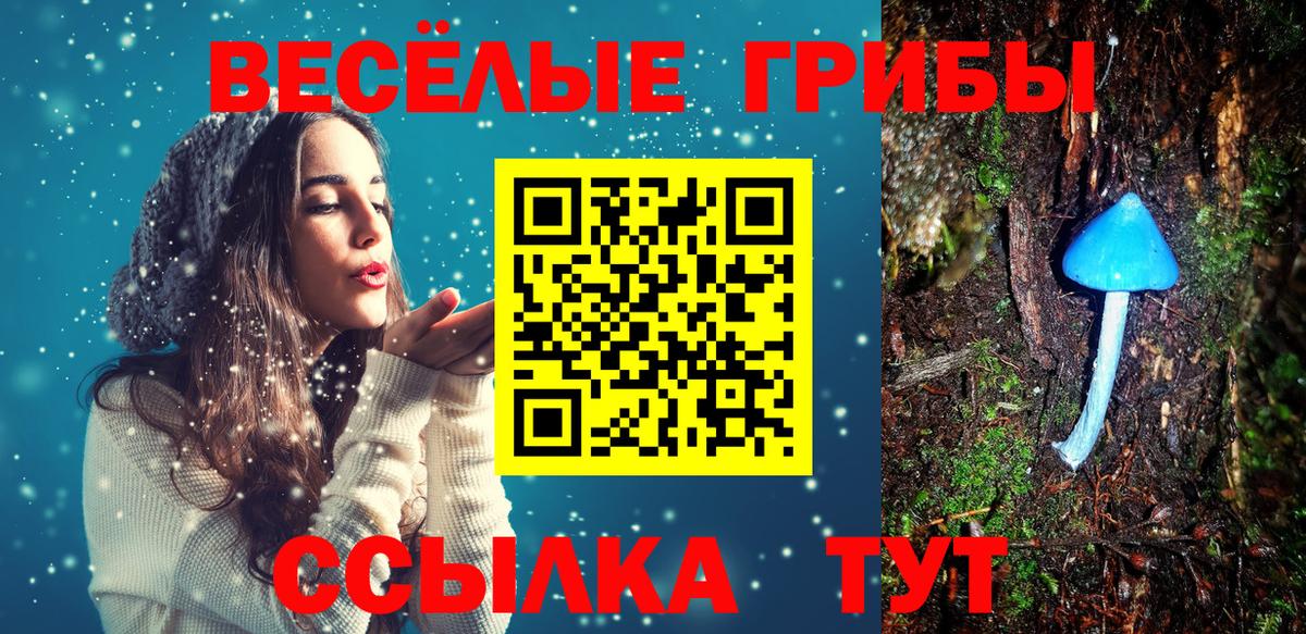 Южно-Сахалинск  Галлюциногенные грибы Psilocybe  Вход с VPN 